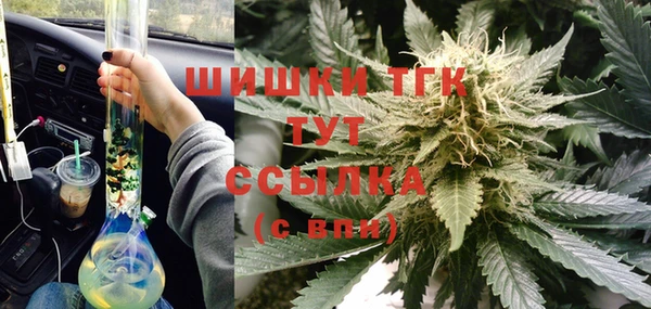 прущие грибы Алексин