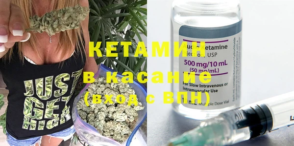 прущие грибы Абаза