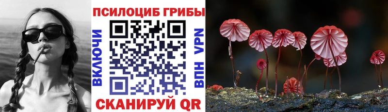 Галлюциногенные грибы GOLDEN TEACHER  Заринск 
